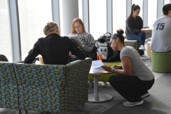 Group of students studying in the Health Sciences Center