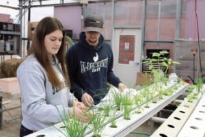 2 students looking at crop plants in greenhouse