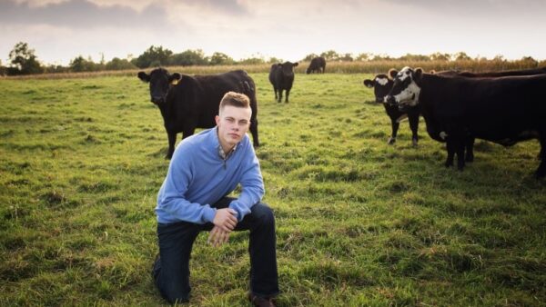 man kneels in a field with cattle in the background