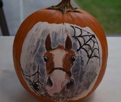 real pumpkin with a horse, spider webs and a spider painted on it