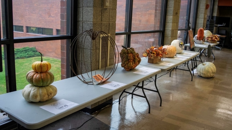 tables with real & decorative pumpkins