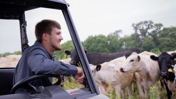 student in a utility vehicle in a field with cattle in the background