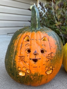 carved pumpkin with kitty cat face & paws