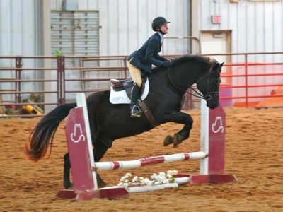 hunt seat rider on horse jumping fence