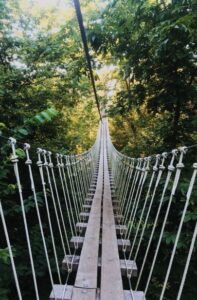 rope & wood bridge in forest