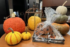 variety of real and decorative pumpkins on a table