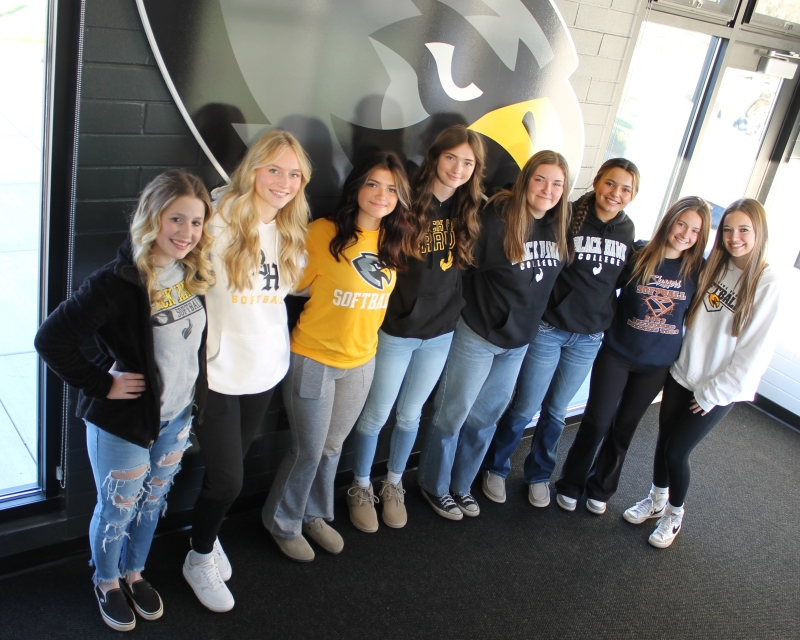 8 softball players standing in press box in front of hawk logo