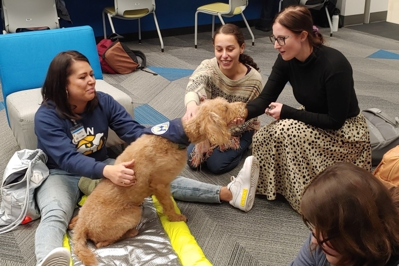 2 smiling students petting dog