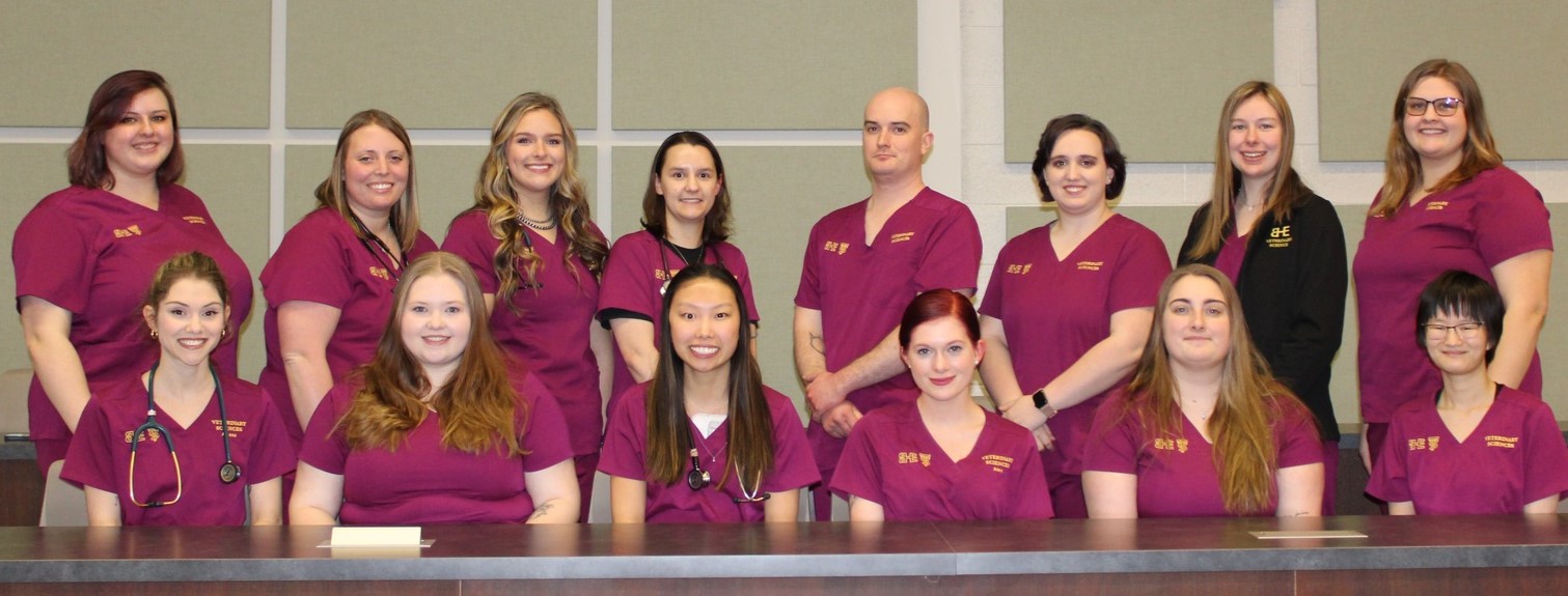 14 vet tech students in scrubs